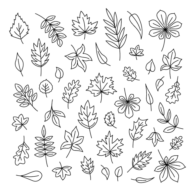 Folhas em estilo de arte de linha conjunto de folhas em preto e branco em estilo de arte de linha vetor