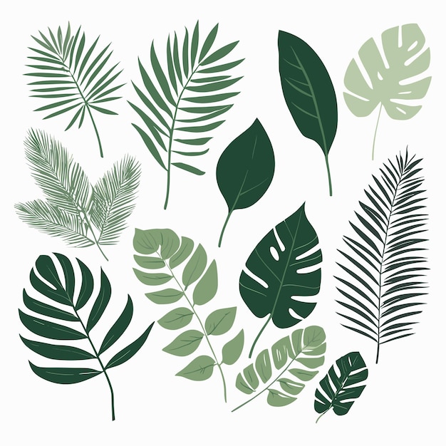 Folhas exóticas tropic leaf set vetor ilustração arte botânica