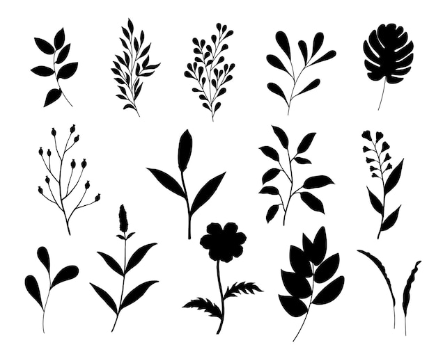 Folhas florais e silhuetas vetoriais isoladas de plantas de flores