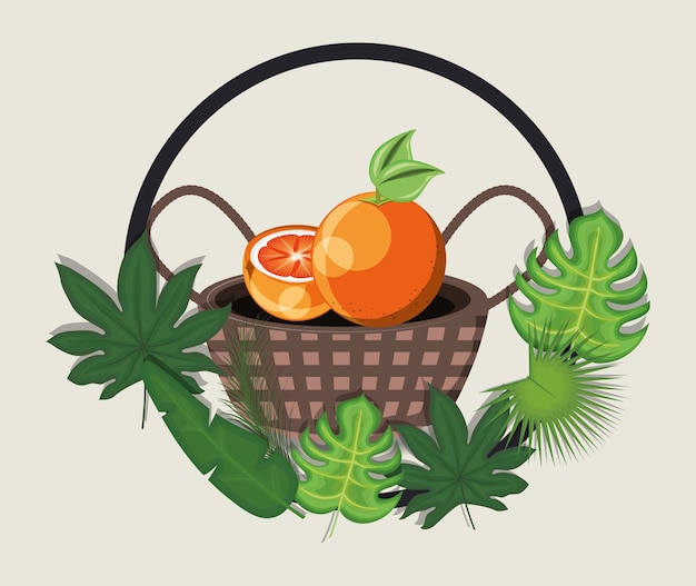 Folhas tropicais com cesta com laranja