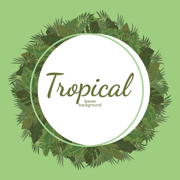 Folhas tropicais e fundo de elementos tropicais