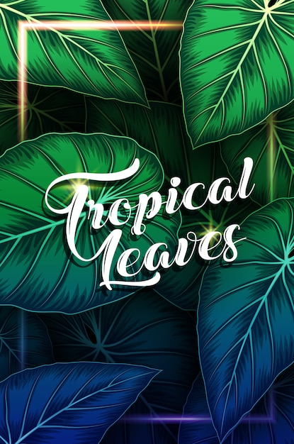 Folhas tropicais exóticas