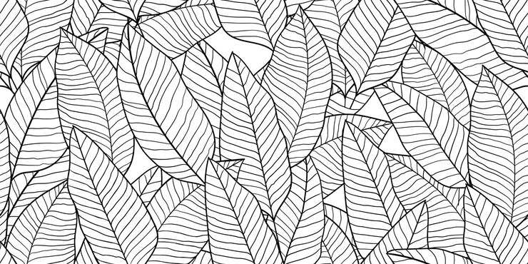 Folhas tropicais padrão sem emenda de livro para colorir