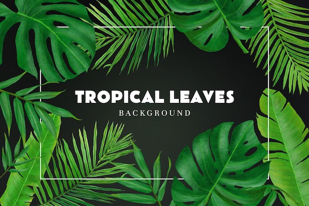 Folhas tropicais quadro de fundo exótico