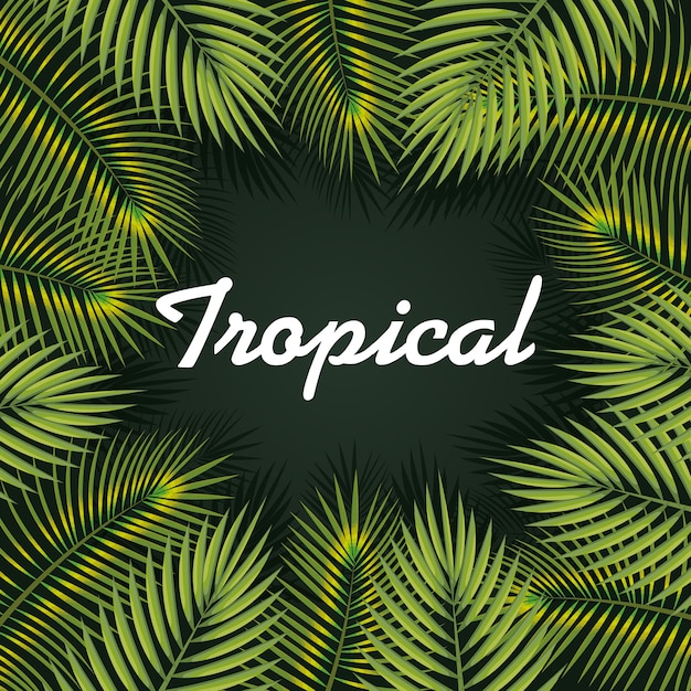 Folhas tropicais