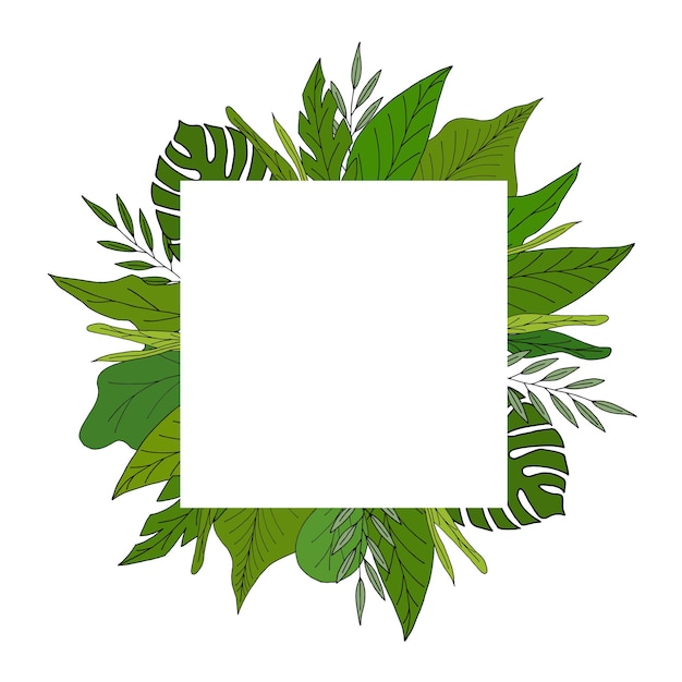 folhas verdes com moldura quadrada branca branca para texto