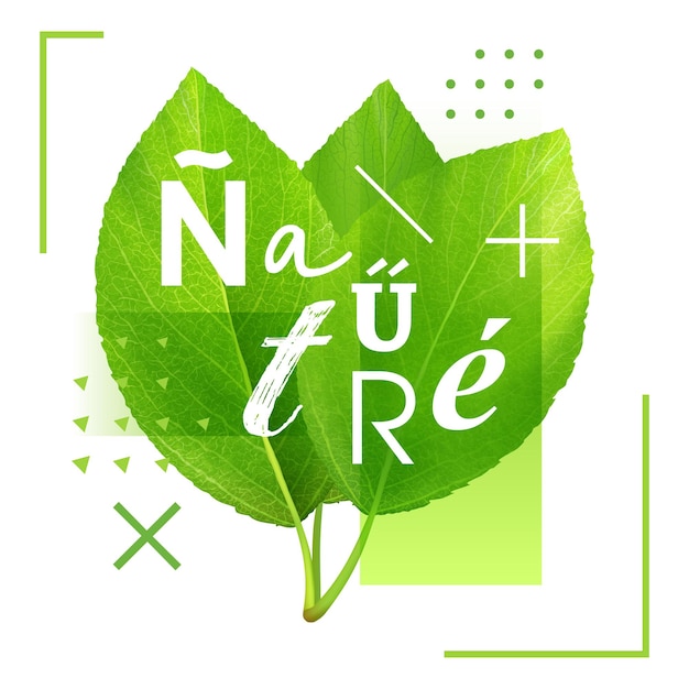 Vetor folhas verdes com uma natureza de inscrição