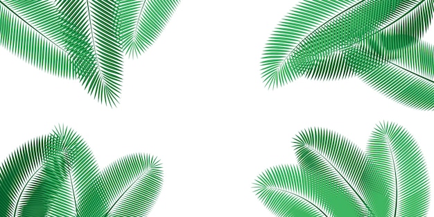 Vetor folhas verdes de palmeiras em um fundo branco