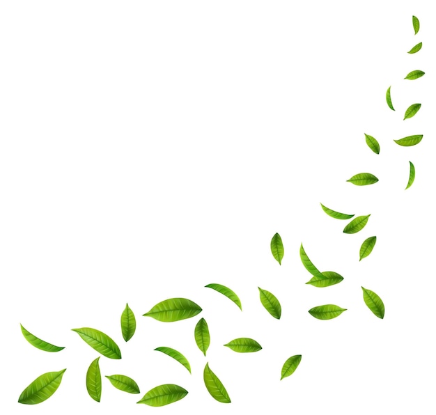 Folhas verdes flutuantes