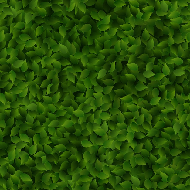 Folhas verdes sem costura padrão primavera ou verão fundo fresco.