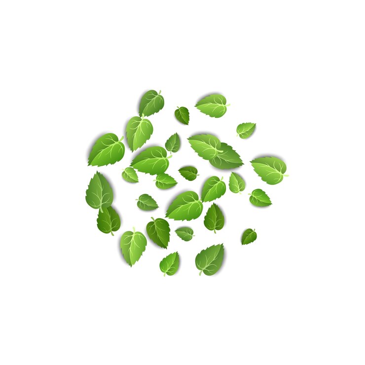Vetor folhas verdes voadoras sobre fundo branco padrão de folha de primavera em pano de fundo isolado deixa vetor de planta