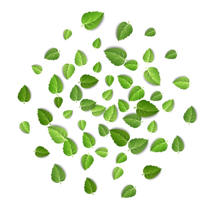 Vetor folhas verdes voadoras sobre fundo branco padrão de folha de primavera em pano de fundo isolado deixa vetor de planta