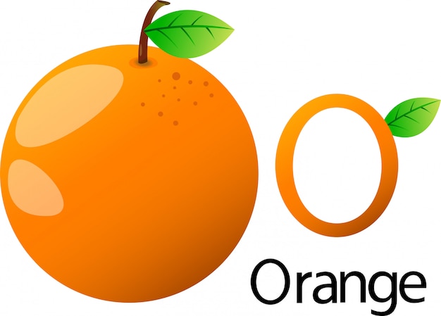 Font o ilustrador com laranja