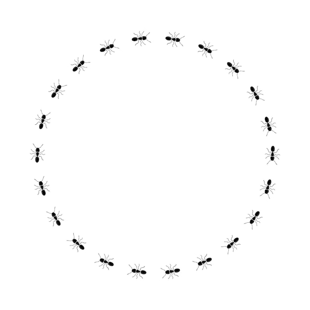 Forma do círculo da trilha da formiga quadro de formigas pretas