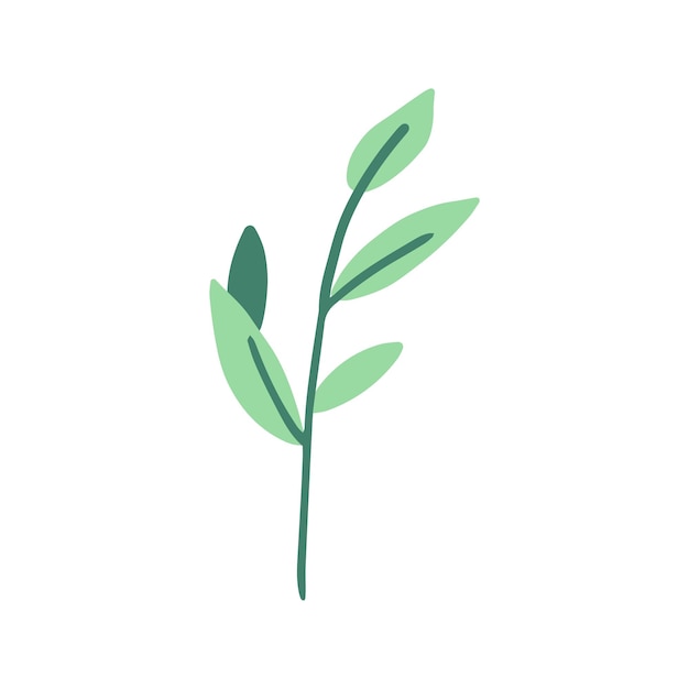 Vetor forma orgânica de folhas de plantas verdes ícone moderno e moderno de folhagem ilustração vetorial natural plana com floral para promoção de propaganda