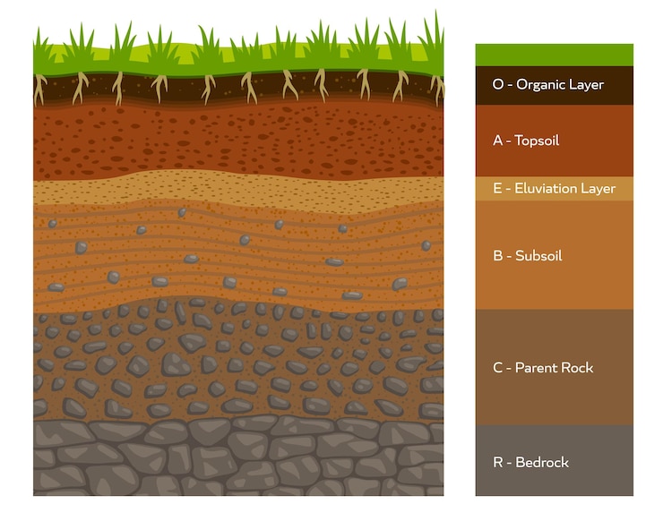 Vetor formação de geologia da terra infográfico de camada de solo