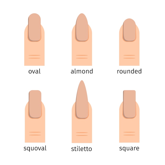 Vetor formas de unhas mais populares com manicure nude