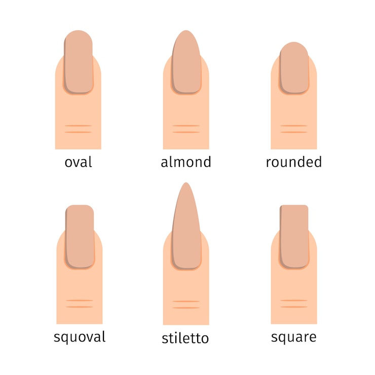 Vetor formas de unhas mais populares com manicure nude