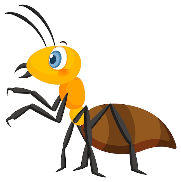 Vetor formiga amarela isolada no fundo branco