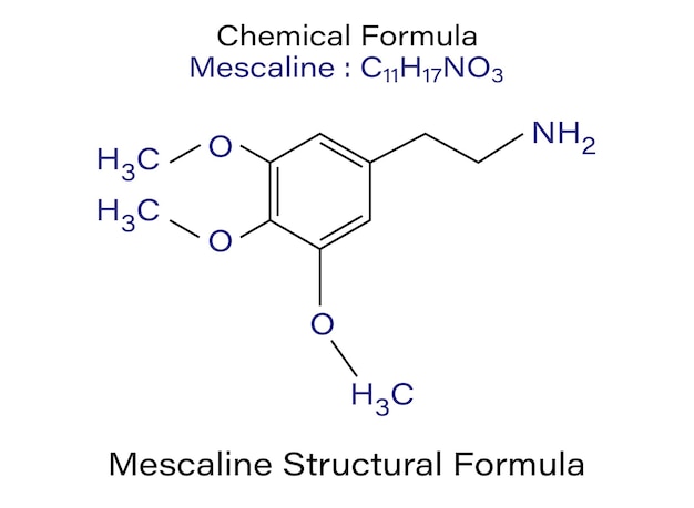 Fórmula química da ilustração vetorial esquelética da molécula peiote mescalina