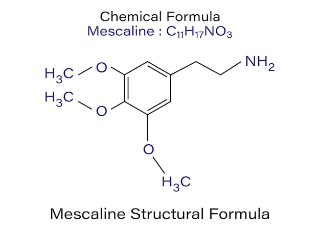 Vetor fórmula química da ilustração vetorial esquelética da molécula peiote mescalina