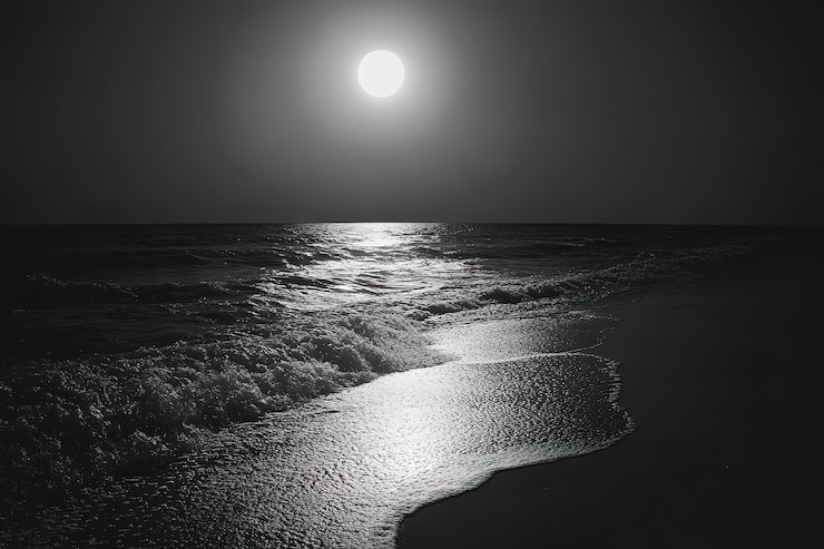 Vetor fotografia em preto e branco da lua brilhando sobre o oceano céu noturno luz da lua refletindo no w