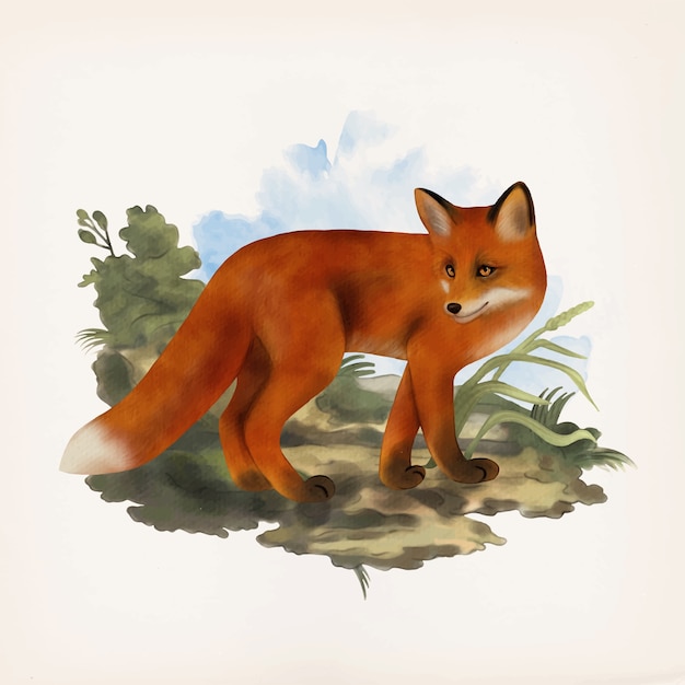 Vetor fox ilustração animal retrô