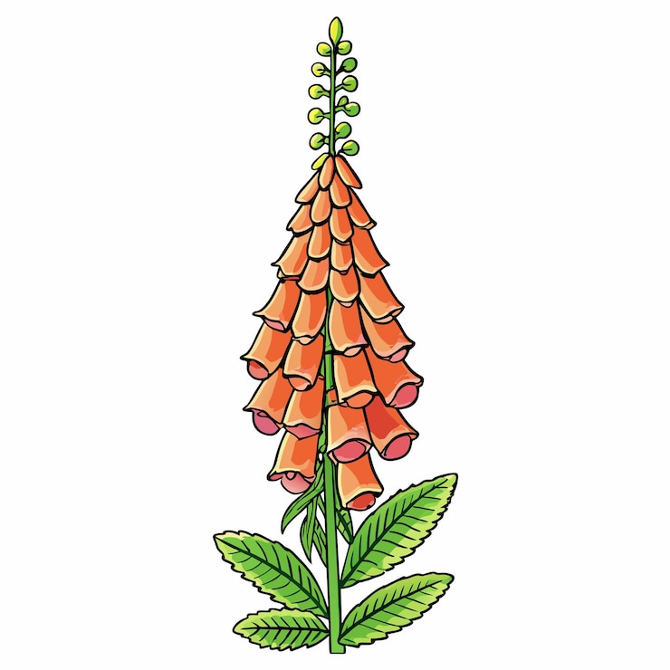 Vetor foxglove flor estilo de desenho animado icon vector clipart ilustração