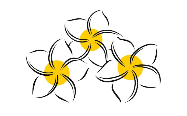 Vetor frangipani ou plumeria flor exótica de verão frangipani gravado isolado em fundo branco