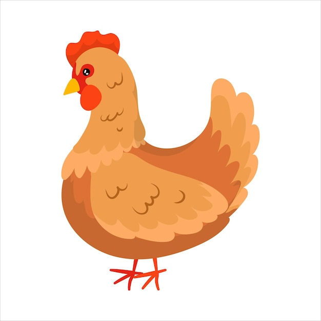 Frango Aves domésticas Animal fofo Animais de gado Agricultura Fazenda Ilustração em vetor isolada no fundo branco