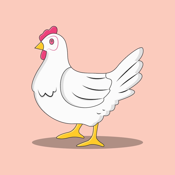 Vetor frango branco fofo em ilustração plana