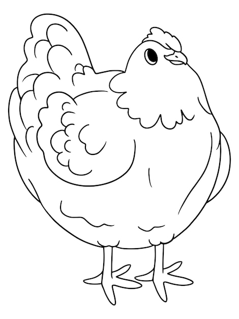 desenho de frango para colorir para crianças 5073704 Vetor no Vecteezy