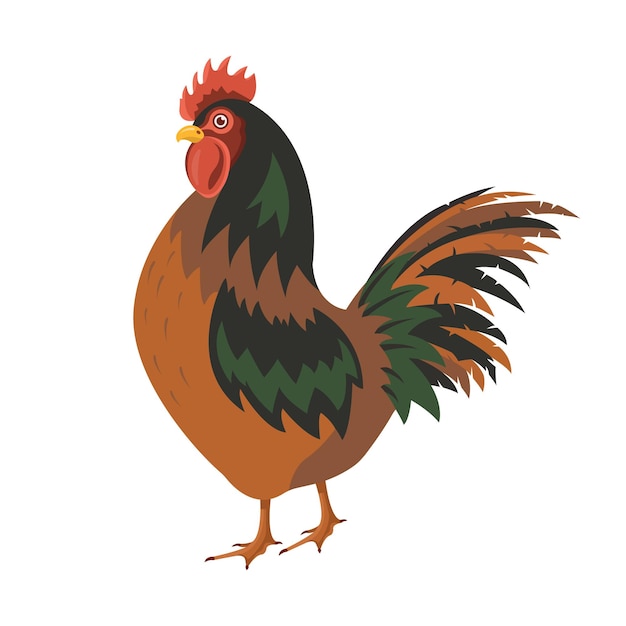 Frango pássaro aves de capoeira ilustração vetorial galinhas domésticas em fundo branco pintainho dos desenhos animados isolado