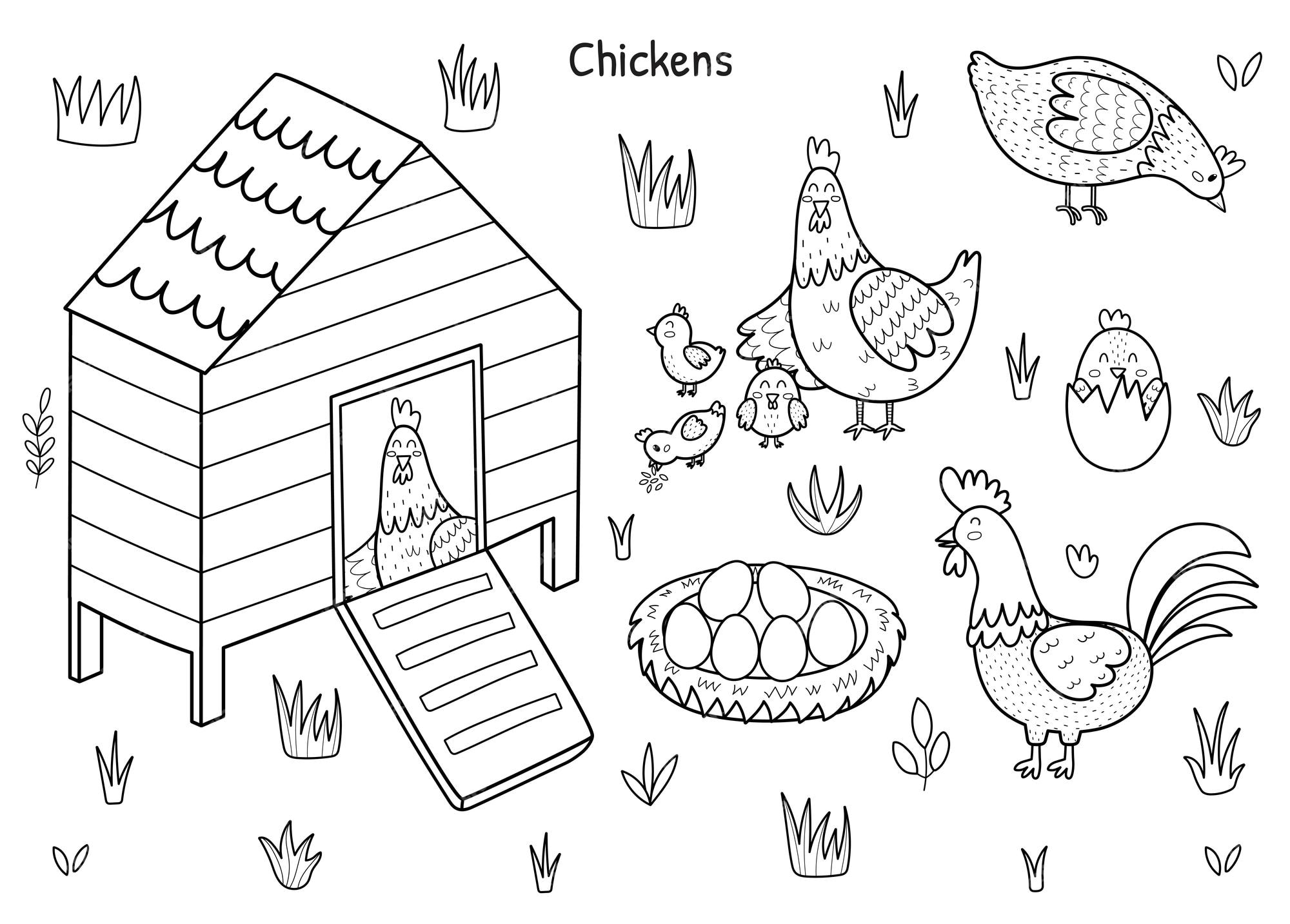 Galo e galinha com desenho de ovo para colorir página