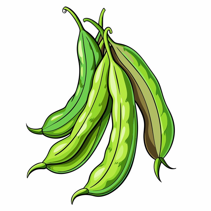 Vetor fresh yardlong beans vegetable vector ilustração plana