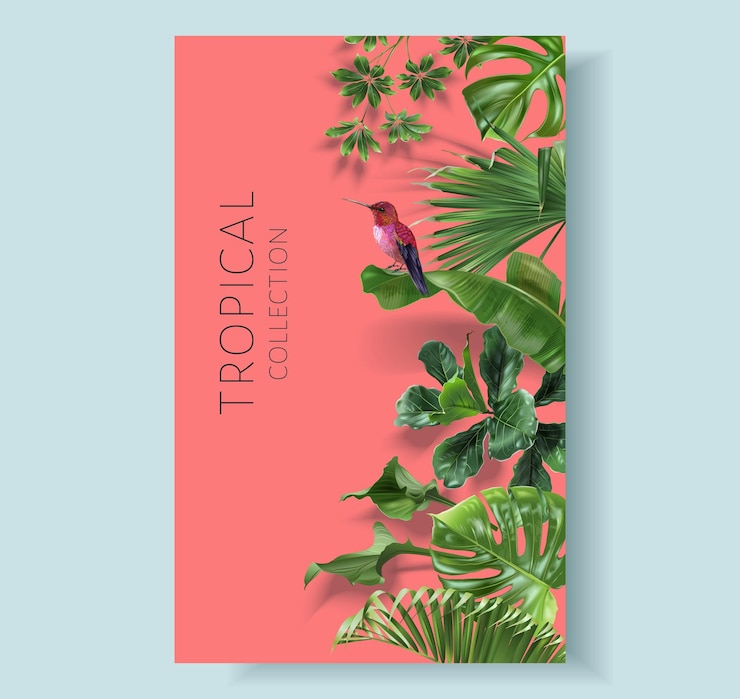 Vetor fronteira de cor tropical