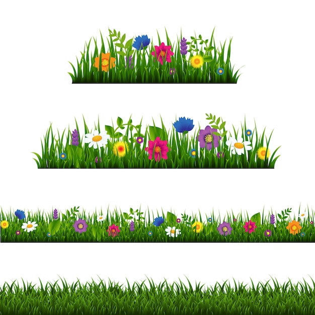 Fronteira de grama com coleção de flores isolada