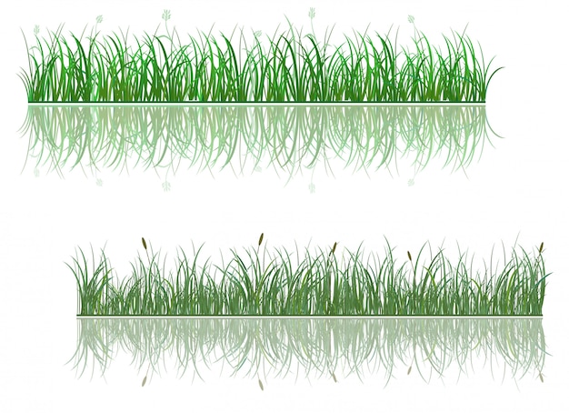 Fronteira de grama verde com reflexão