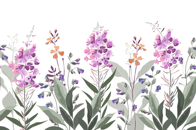 Vetor fronteira de padrão sem costura floral vetorial com salgueira ilustração botânica flores e ervas
