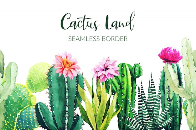 Cactus Set Cactus Text Padrões Sem Costura Succults Art Cactos Fundo Floral  Imprimir Vetor De Cartaz Ilustração Stock - Ilustração de jogo, suculentos:  159765908