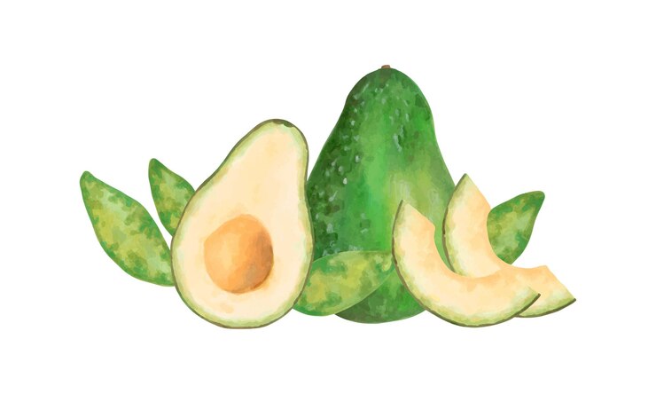 Vetor fruit composition with whole half and slice of avocado with leaves watercolor and marker illustration hand drawn isolated clipart botanical vegetable sketch for food packaging juice or recipes