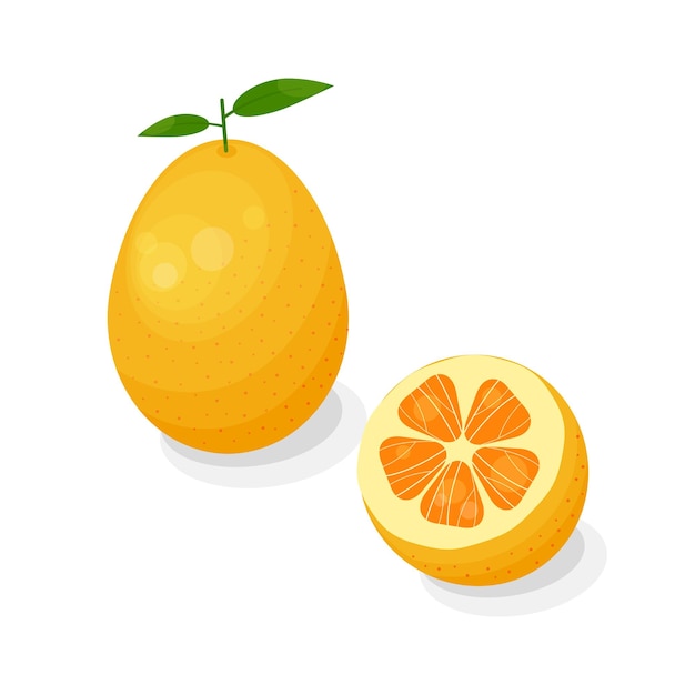 Fruta Kumquat em estilo cartoon