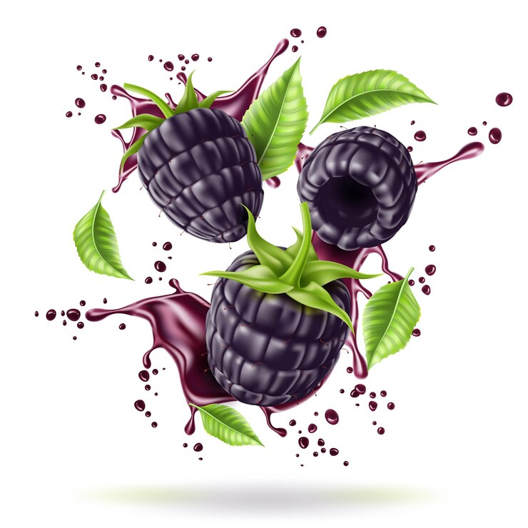 Vetor fruta suculenta de amora preta realista em movimento