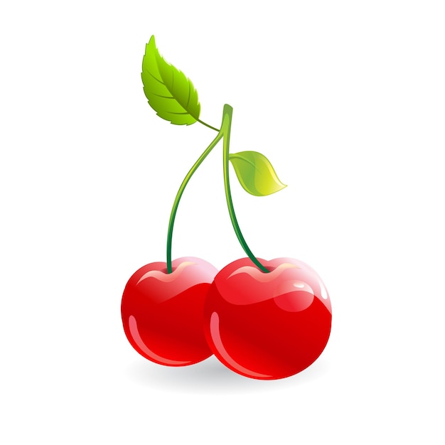 Frutas de cereja vermelha realistas com folhas maduras em ilustração vetorial de fundo em branco