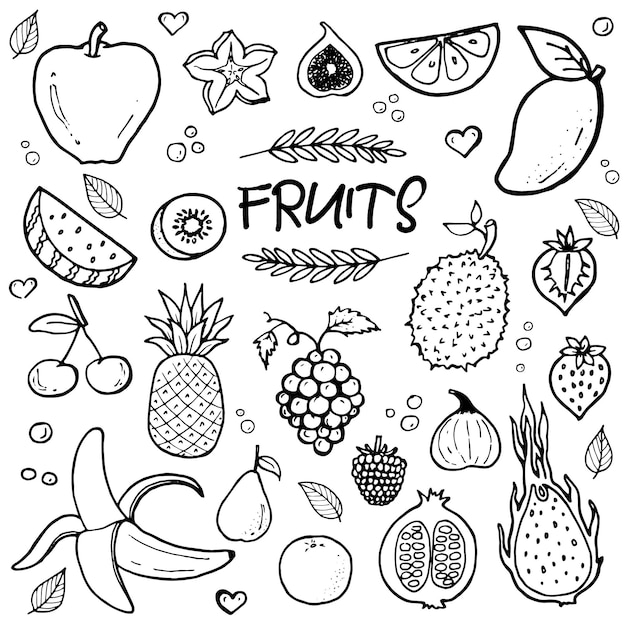 Vetor frutas de doodle mão desenhada