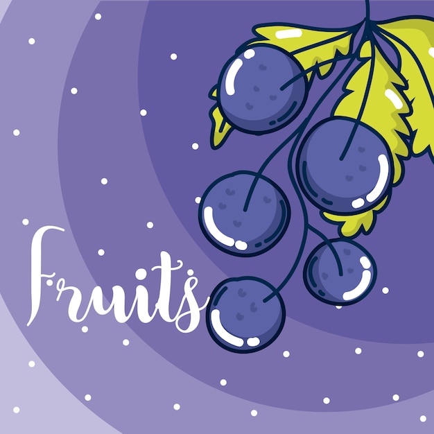 Vetor frutas de uvas