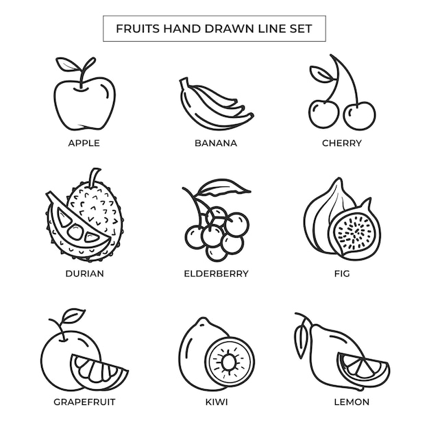 Frutas desenhadas à mão com conjunto de arte de linha