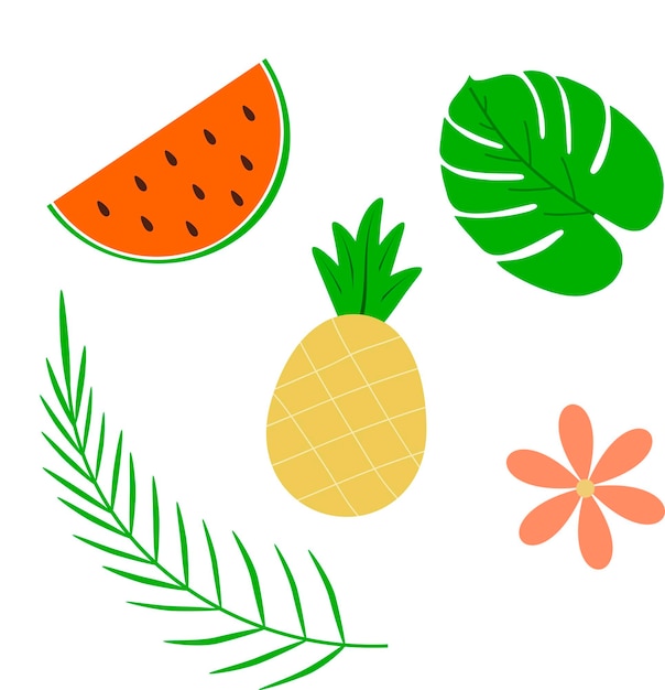 Frutas e plantas tropicais