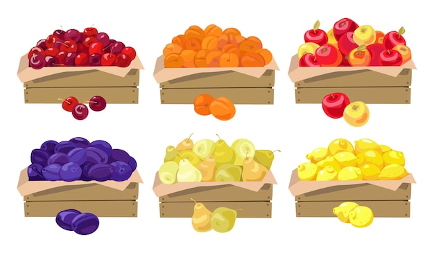 Frutas em caixas de madeira