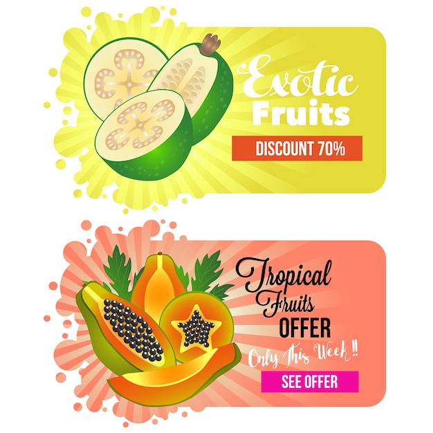 Vetor frutas exóticas papaya feijoa site banner